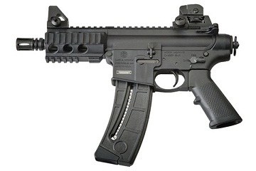 S&W M&P15-22P